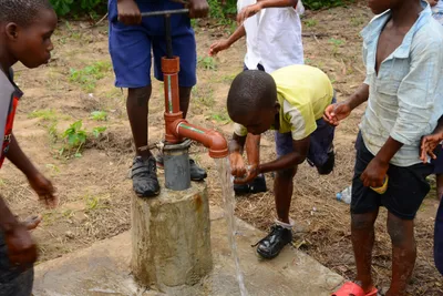 DSC_9511 (Large).JPG